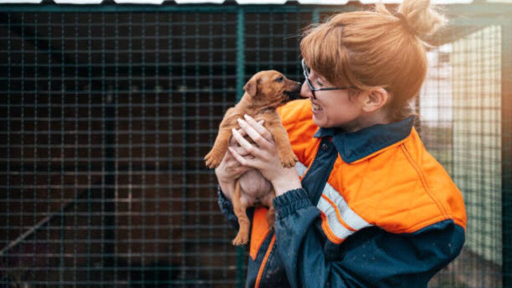 animal shelters in Norman