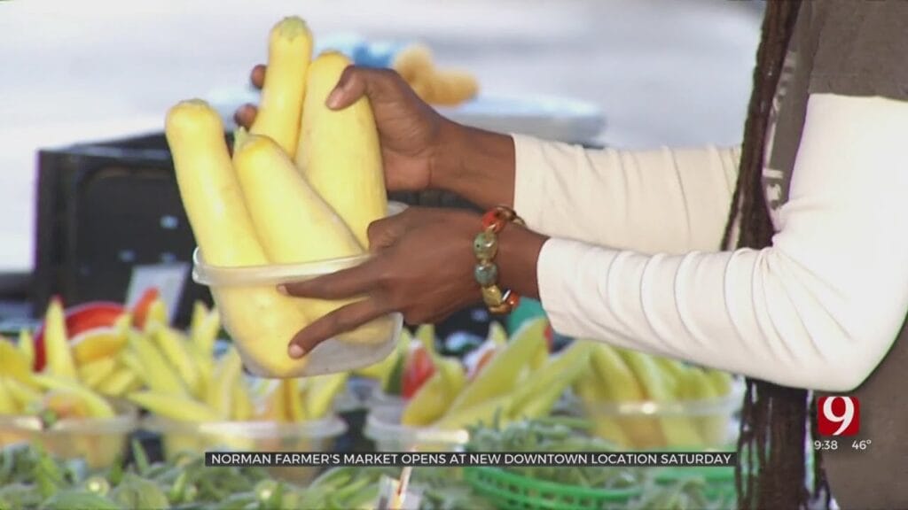 fish markets in Norman