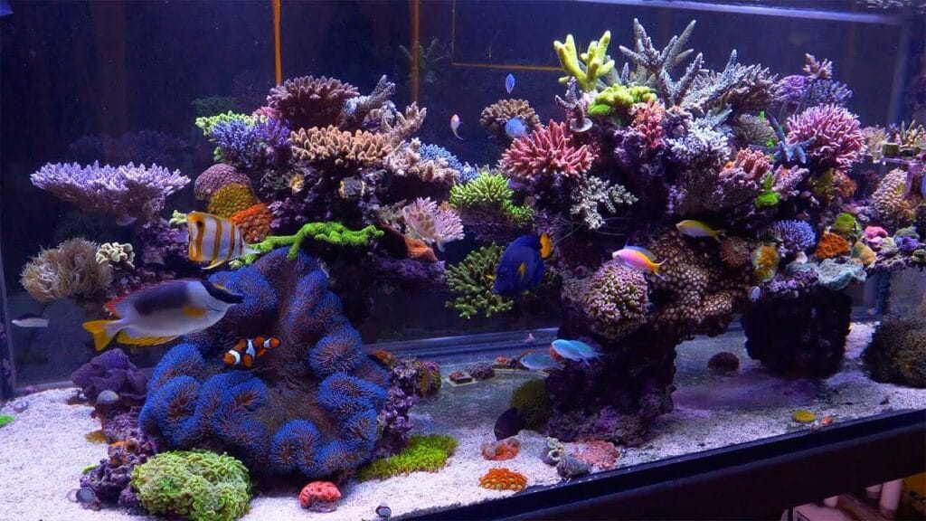 aquariums in Tulsa